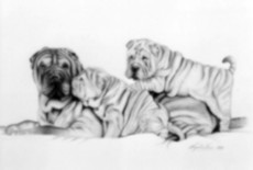 20060908155249-perritos.jpg