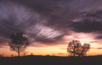 20061127212630-atardecer.jpg