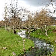 20070223001524-medioambiente.jpg
