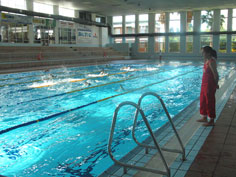 20070605224331-pisci.jpg