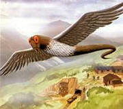20070723211501-pterodactilos-vivos1.jpg